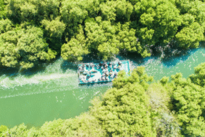 四草綠色隧道