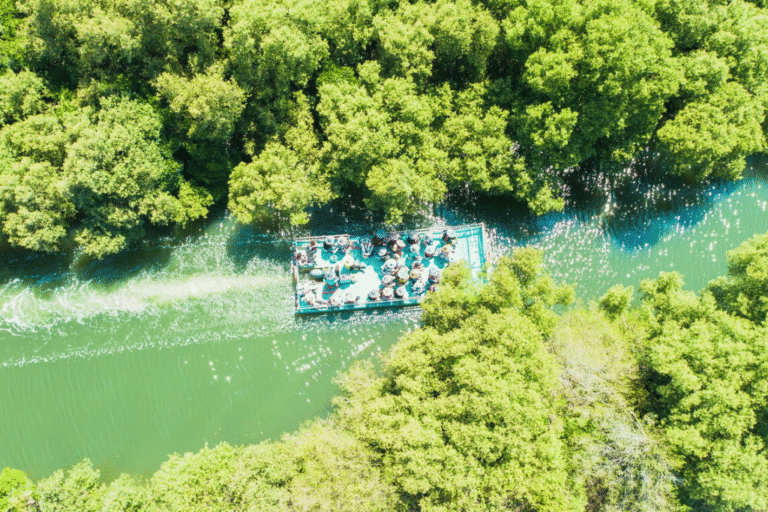 四草綠色隧道